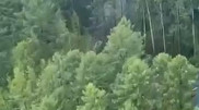 Появились кадры с места крушения самолета в России