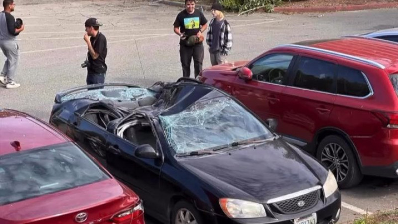 Фото из X аккаунта Kevin Dalton