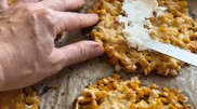 “Новый хит“: кукуруза стала трендом в соцсетях