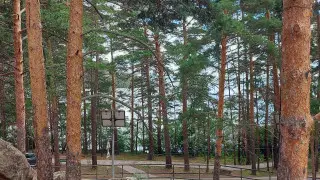 Почему электропоезда не ходят до курорта Боровое