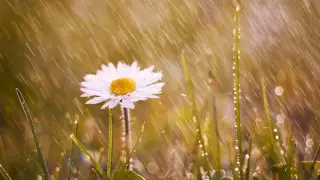 Готовьте зонты: погода в Астане и Алматы на три дня