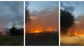 Сухая трава загорелась вдоль трассы в Алматинской области