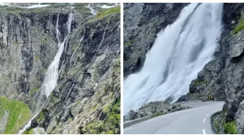 Кадры из видео: DW