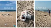 Жители Актау пришли в ужас от поведения отдыхающих на “мальдивском пляже“