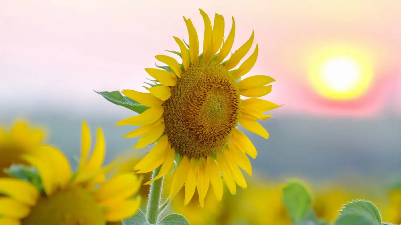 Фото:depositphotos.com