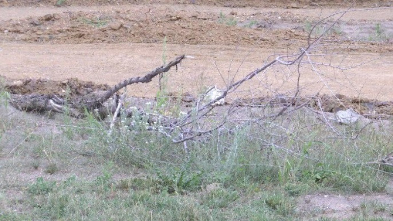 Фото ©️ Tengrinews.kz