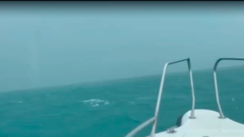 Кадр видео: МЧС РК