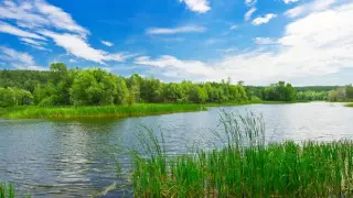 Трагедия в Косшы: пятилетний мальчик утонул в Ишиме