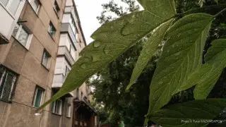 Жара до +38 и грозы: погода в Казахстане на 6 августа