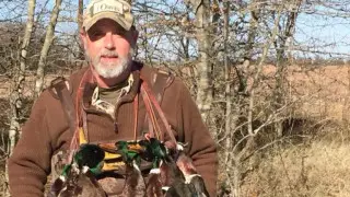 Буйвол убил американского миллионера во время охоты на юге Африки