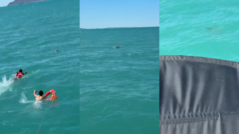 Кадры из видео