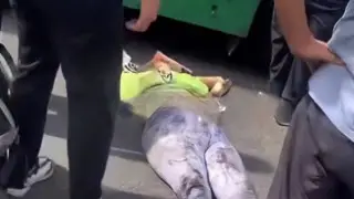 Женщина погибла под колесами автобуса в Алматы