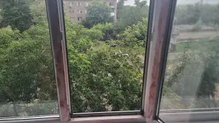 Возле больничной палаты казахстанки, выбросившей детей из окна, дежурят полицейские