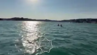 Сносило ветром, терялись дети: спасатели на Капшагае пять раз пришли на помощь отдыхающим