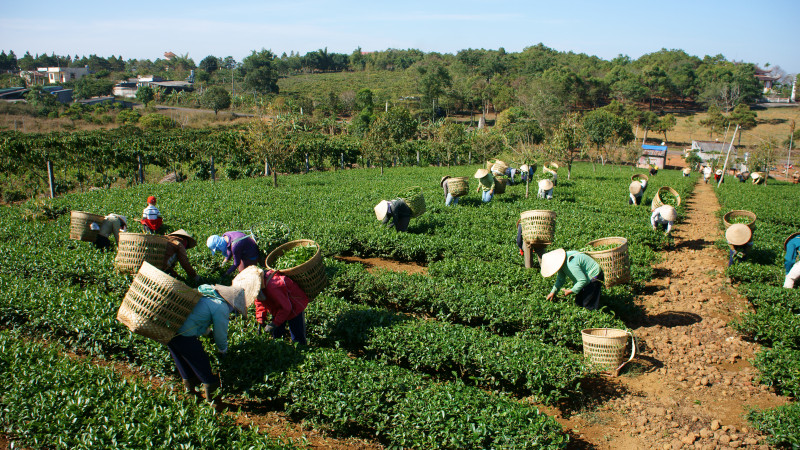 Иллюстративное фото:depositphotos.com/ xuanhuongho
