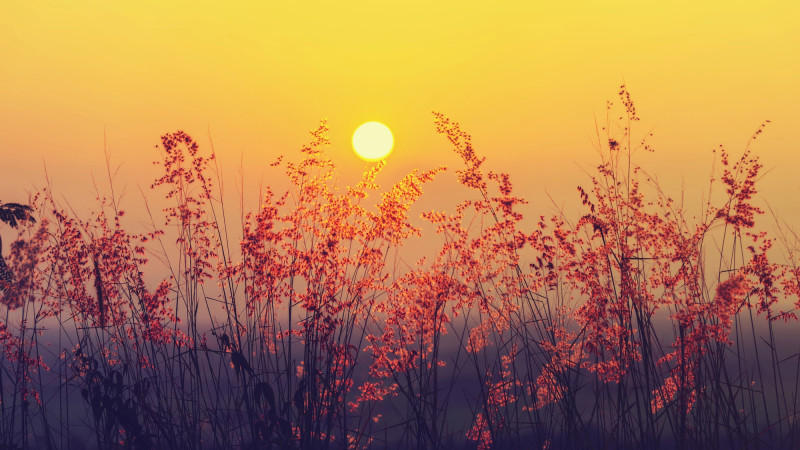 Фото:depositphotos.com