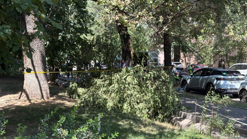 Фото ©️ Tengrinews.kz / Никита Данилин