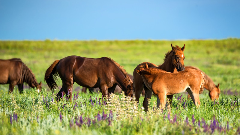 Фото:depositphotos.com