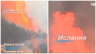 Крупные лесные пожары охватили юг Европы: погибли три человека