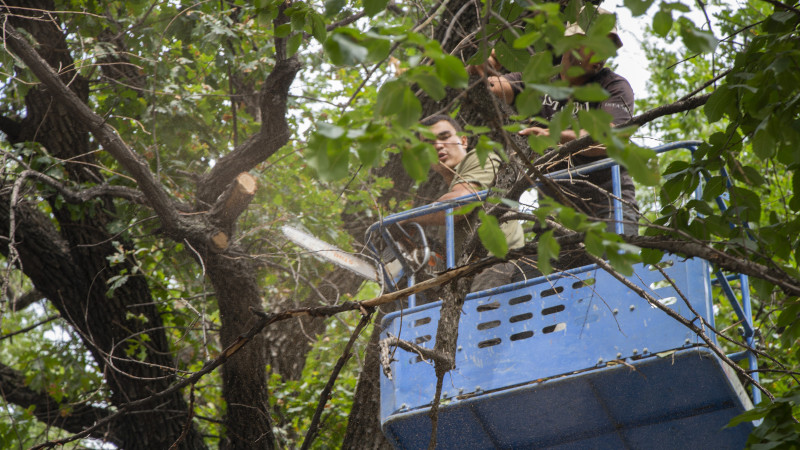 Фото ©️ Tengrinews.kz / Никита Данилин