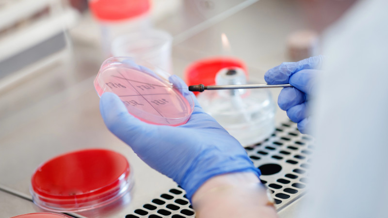 Фото:depositphotos.com