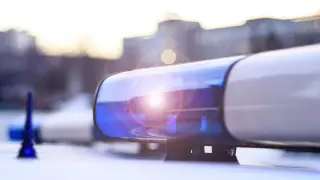 Мёртвого младенца нашли в мусорном баке в Уральске