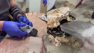 МВД: Адвокаты проносят “запрещёнку“ в колонии