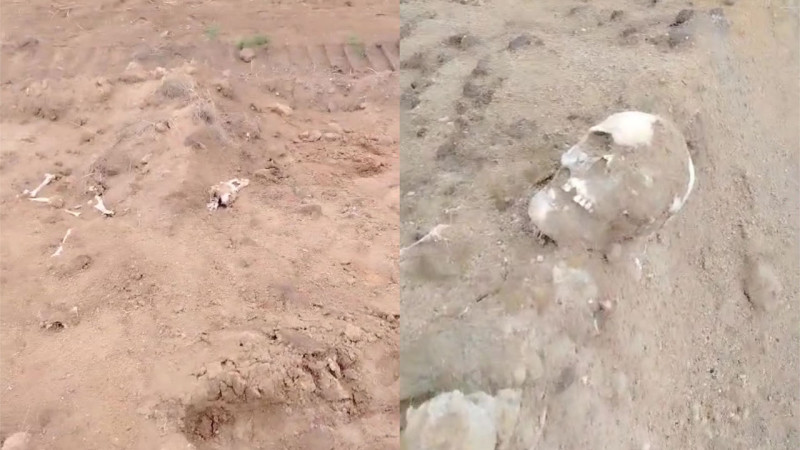 Кадры из видео