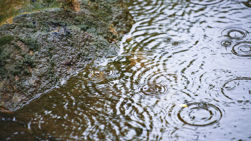 Фото:depositphotos.com