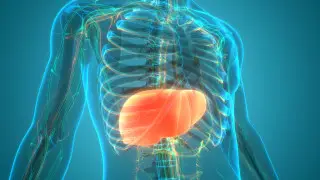 Ученые нашли главный враг печени, и это не спиртное