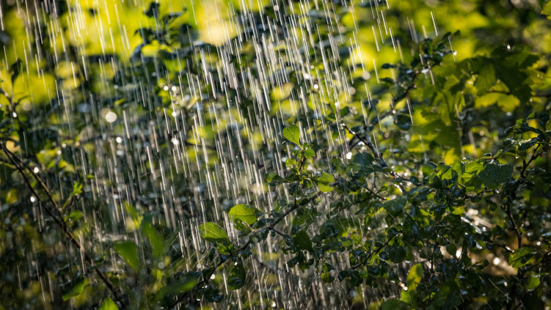 Фото:depositphotos.com