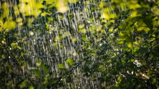 Дожди, грозы и порывистый ветер ожидаются в Казахстане в воскресенье