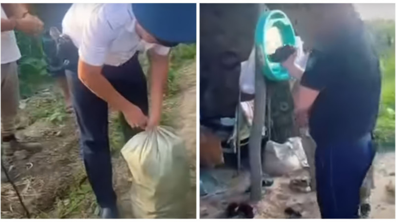 Кадры из видео