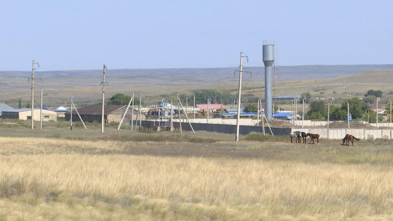 Фото ©️ Tengrinews.kz