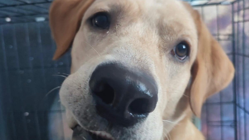 фото: личный архив Татьяны