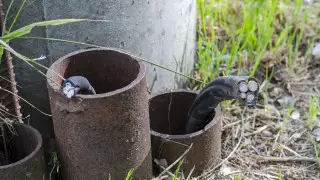 В Алматы после удара током ребёнка во дворе ЖК начались проверки