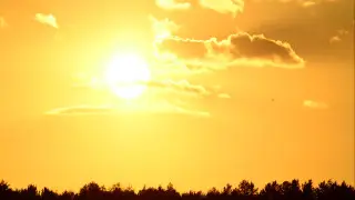 Сильная жара до +38 вернётся в Казахстан