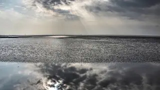 Гроза, шквал и пыльная буря: какая погода ждёт Казахстан 23 августа