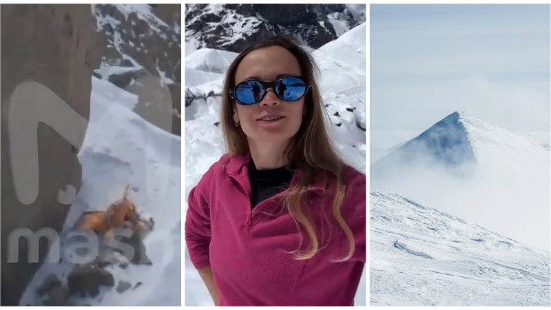 t.me/mash, IG/natalina1022, depositphotos.com