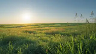 Скоро осень: 8 дел, которые стоит успеть до конца лета