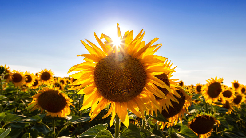 Фото:depositphotos.com