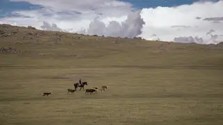 Жара до +38 и грозы с градом: что ждёт Казахстан 26 августа