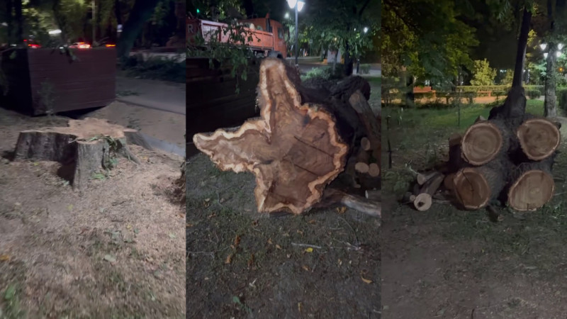 Кадры из видео