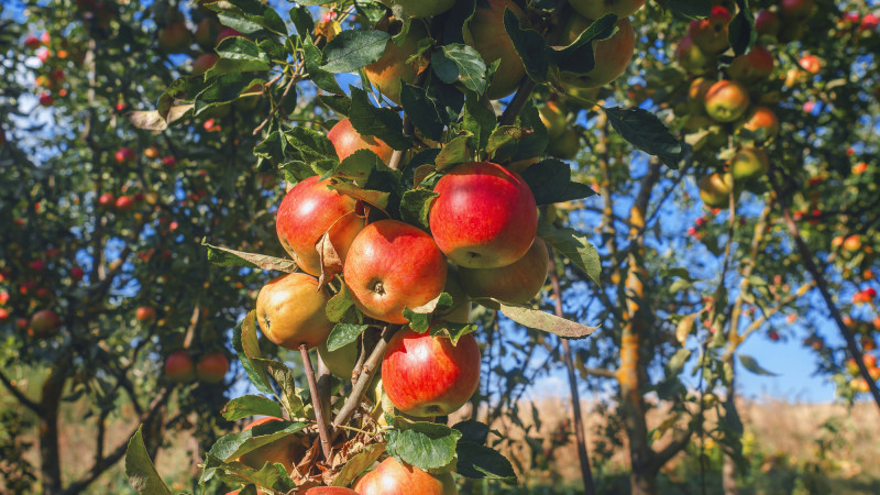 Фото:depositphotos.com