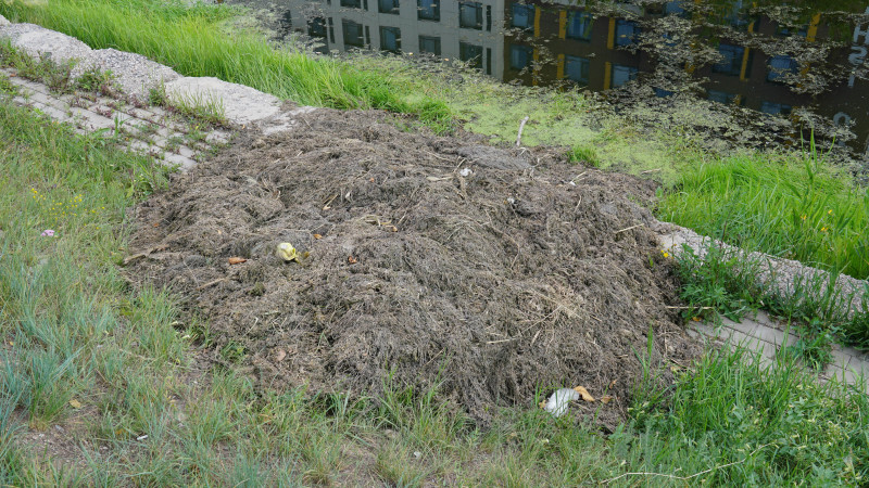 Фото ©️ Tengrinews.kz / Маржан Куандыкова