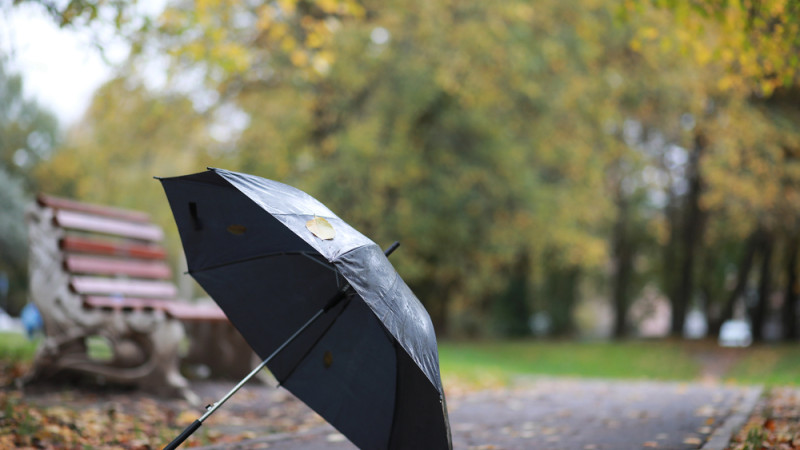 Фото:depositphotos.com