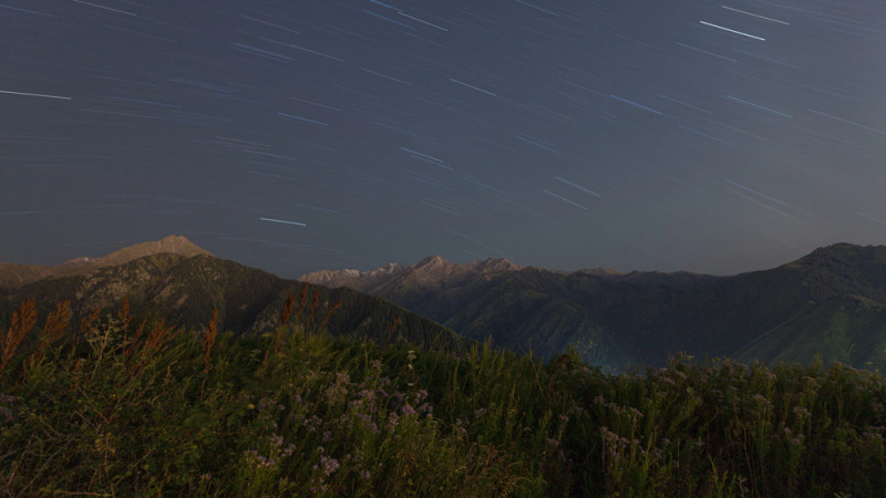 Фото:depositphotos.com