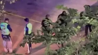 Школьника убили в драке 1 сентября в Таразе