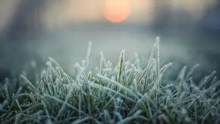 “Я календарь переверну“: 3 сентября в Астану придут первые заморозки