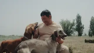 Казахская охотничья порода и ее хранители: новый фильм Каны Бейсекеева